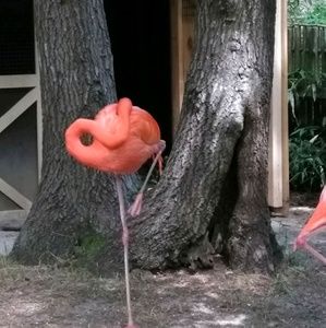 Meet your Posher, Eli